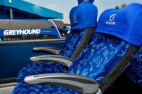 Book Bus Tickets Online Greyhound Coaches South Africa