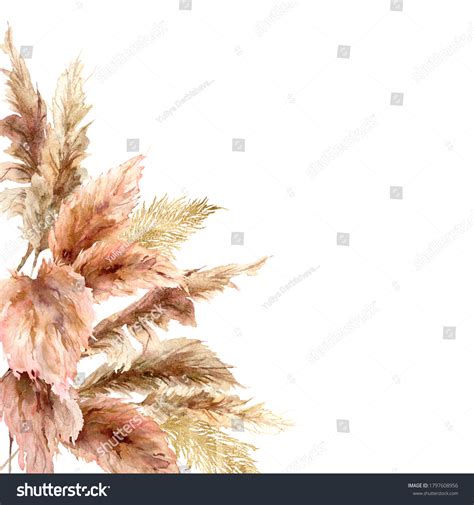 Watercolor Tropical Border Dry Pampas Grass Stock Illustration