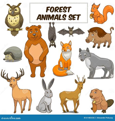 Vector Set Of Cute Woodland And Forest Animals Cartoon Vector