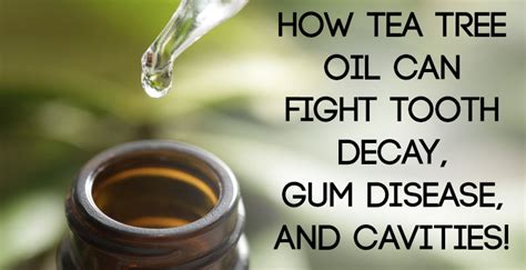 How Tree Oil Can Fight Tooth Decay Gum Disease And Cavities