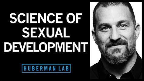 biological influences on sex sex differences and preferences huberman lab podcast 14 youtube