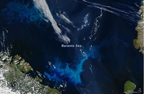 Satellite Image Shows Swirls Of Phytoplankton Bloom In Arctic Ocean