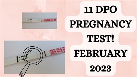 11 Dpo Pregnancy Test Feb 2023 Youtube