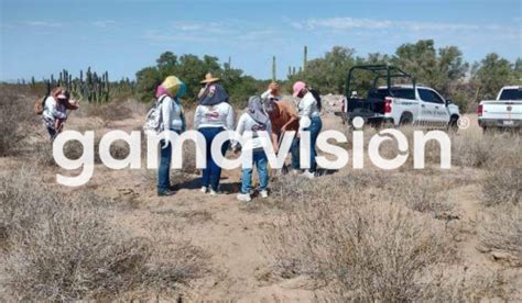 Hallan Crematorio Clandestino En Sonora