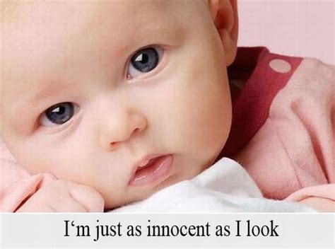Innocent Baby Quotes Quotesgram