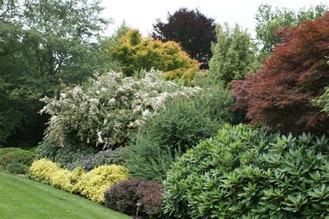 Those tight spaces (narrow walkways, against the side of the house, petite little borders) that need a little something that makes a style statement, but doesn't become a maintenance nightmare by overgrowing the area. Shrub border layering with Acer, Berberis, Euonymus and He ...