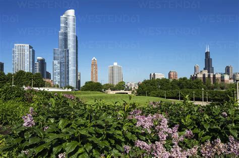 Usa Illinois Chicago Millennium Park Stock Photo