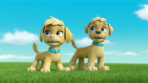 Mighty Pups Super Paws Pups Meet The Mighty Twinsquotes Paw Patrol
