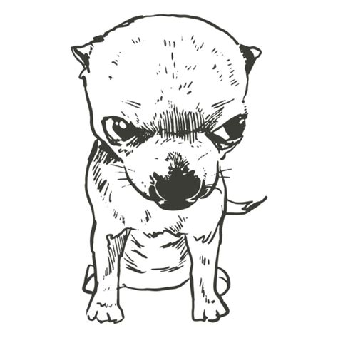 Angry Chihuahua Hand Drawn Png And Svg Design For T Shirts