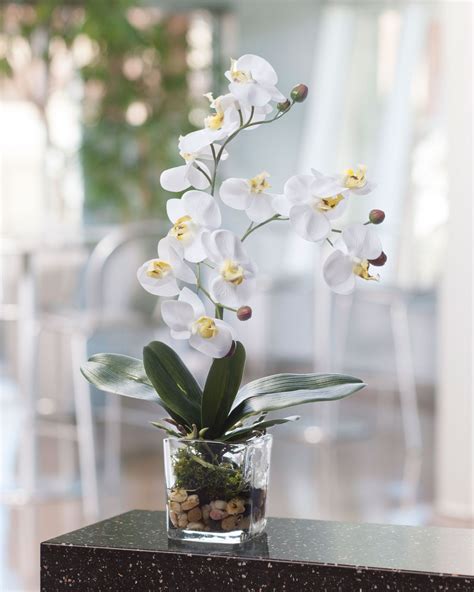 Faux Phalaenopsis Orchid Accent Decoração Com Flores Artificiais Arranjos De Orquideas