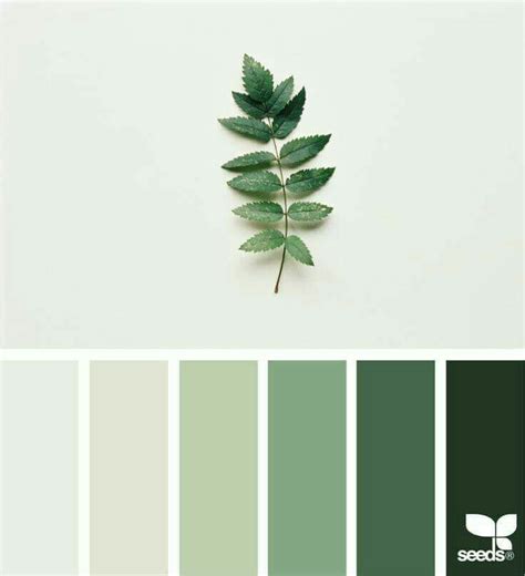 Green Greenery Plants Design Seeds Grey Color Palette Nature