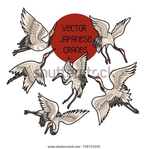 Japanese White Cranes Different Poses Your Stock Vector Royalty Free