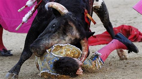 Bullfighter Is Gored In The Face At Spains Biggest Arena Daily Mail