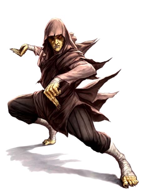 Male Nagaji Scaled Fist Monk Pathfinder PFRPG DND D D D20 Fantasy