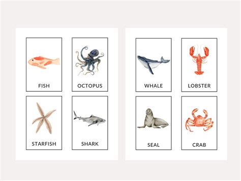Sea Animal Flash Cards Printable Educational Cards Etsy