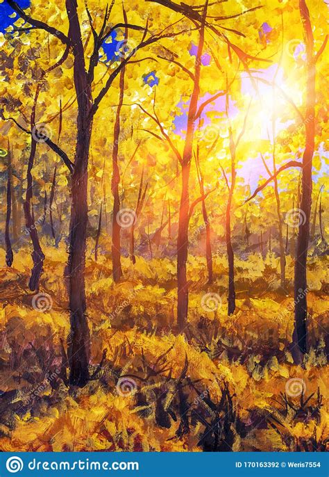 Oil Painting Canvas Sunset Or Sunrise In Autumn Forest Landscape Sun
