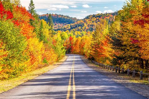 Where To See The Best Fall Leaves In The Us