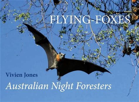 Pin By Australasian Bat Society On Bat Documentaries Educational Vid