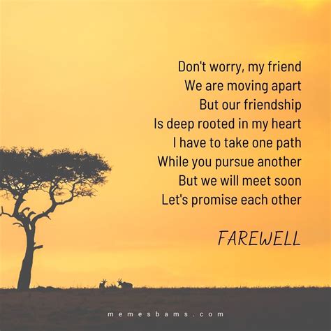 Saying Goodbye To A Friend Farewell Quotes For Friendship In