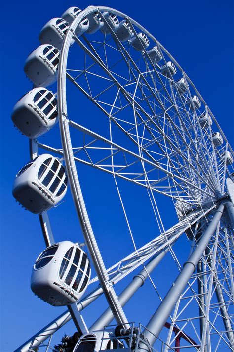 Free Images Summer Vacation Ferris Wheel Amusement Park Tourist