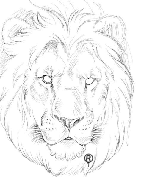 Pin By Inkkbygee On Dude Tatts Lion Sketch Animal Drawings