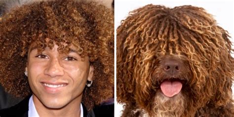 This Twitter Finds Peoples Dog Doppelgängers And Its Hilarious
