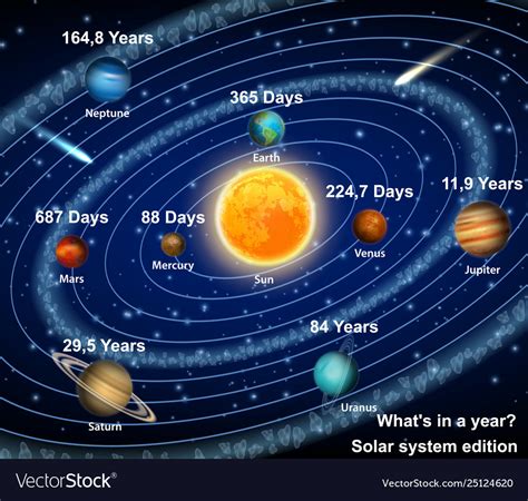 Eight Solar System Planets Orbiting The Sun Diagram Vector Educational