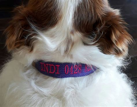 Embroidered Dog Collars Custom Dog Collars Personalised Dog Collars