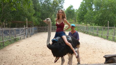 jen riding  ostrich pearce  earth