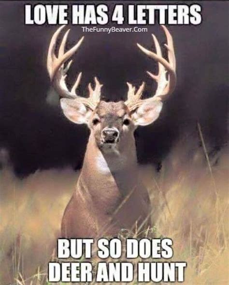 Funny Deer Hunting Quotes And Sayings Shortquotescc