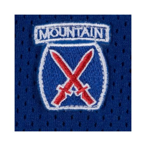 Military Insignia 10th Mountain Division A Photo On Flickriver