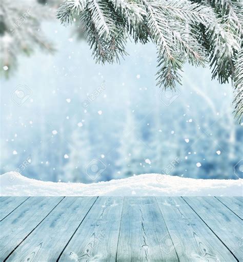 Download Winter Background Stock Photo Picture And Royalty Image By