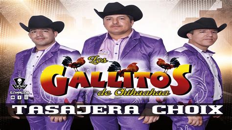 Popurri Ranchero Los Gallitos De Chihuahua Chords Chordify