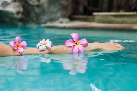 Hands Over The Pool With Flowers Tropical Flowers Frangipani Plumeria Leelawadee Floating In