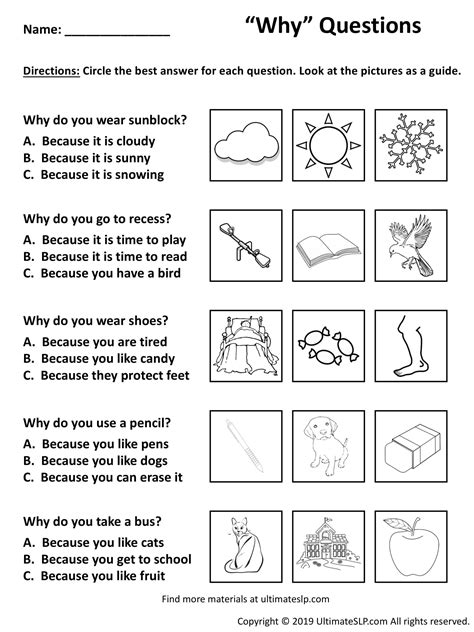 Why Questions Worksheet 1 Ultimate Slp