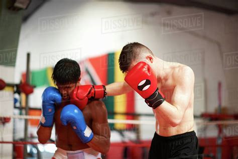 Two Boxers Sparring In Boxing Ring Stock Photo Dissolve
