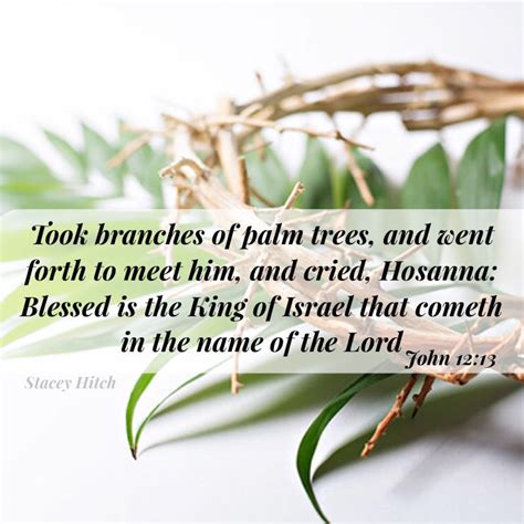 Wishing You All A Blessed God Filled And Happy Palm Sunday John 1213
