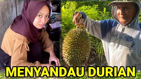Begini Kegiatan Istri Harimau Di Pedalaman Kalimantan YouTube