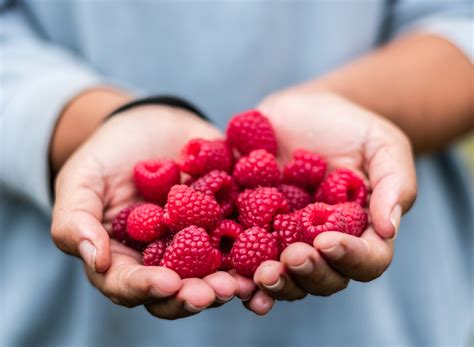 Secret Side Effects Of Eating Raspberries Says Science — Eat This Not That