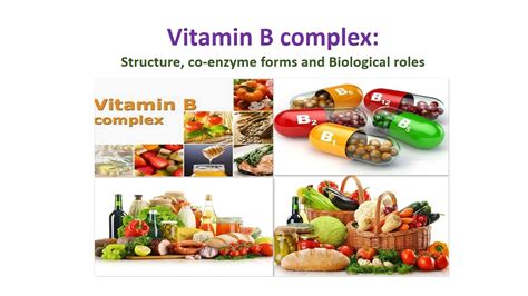Vitamin B Complex Structure Coenzyme Forms And Biological Roles
