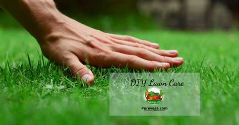 Lawn treatment services will know exactly what type, how much and when to apply fertilizer to your lawn to keep it in great health all year round. All Information About DIY Lawn Care - The Ultimate Guide