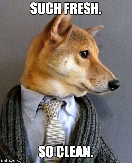 Image Tagged In Doge Suit Imgflip