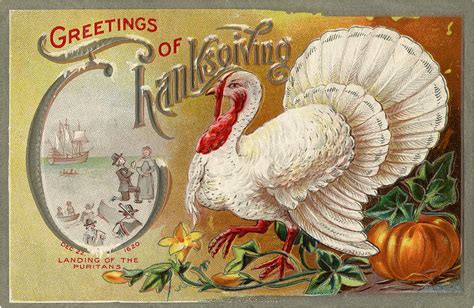 14 Old Antique Tuck Thanksgiving Postcards Turkeys Pilgrims Black Cat Agh Ipb Ac Id
