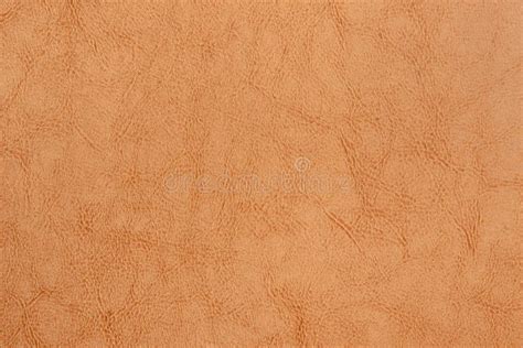 Light Brown Leather Texture Surface Stock Image Image Of Peel Paint
