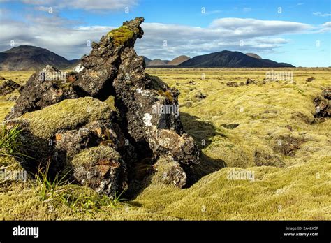 Volcanic Rock And Peat Bog Covered In Moss Typical Icelandic Landscape