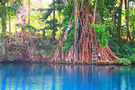 Maybe you would like to learn more about one of these? 10 Days In Vanuatu Sample Itinerary | Vanuatu Travel Guide