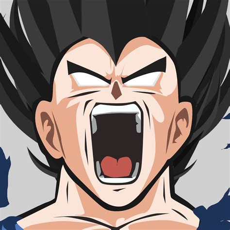 Download Vegeta Dragon Ball Anime Dragon Ball Z Pfp By Bosslogic