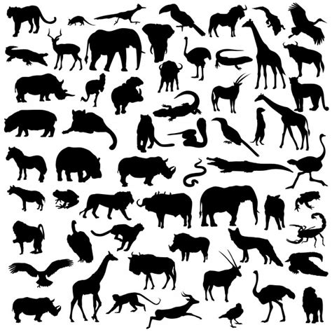 We have 27 free safari vector logos, logo templates and icons. Africa safari animals wild life silhouette clip art ...