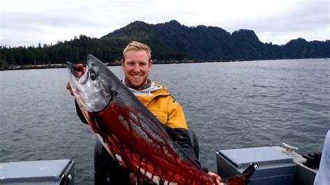King Salmon Fishing In Alaska Fish Choices
