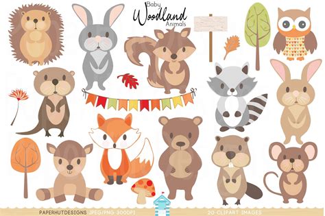 Baby Woodland Animals Clipart 149456 Characters Design Bundles